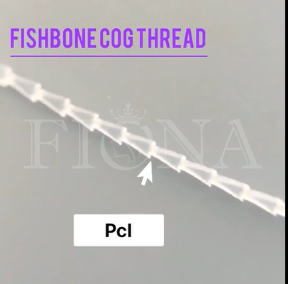 Поток Cog прессформы Fishbone PDO PCL для проверки стороны подготовляет подниматься