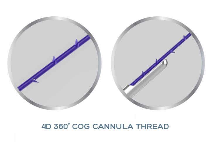 Подъем 19G-100mm потока Cannulla COG PDO PCL PLLA 4D для не хирургический подниматься стороны